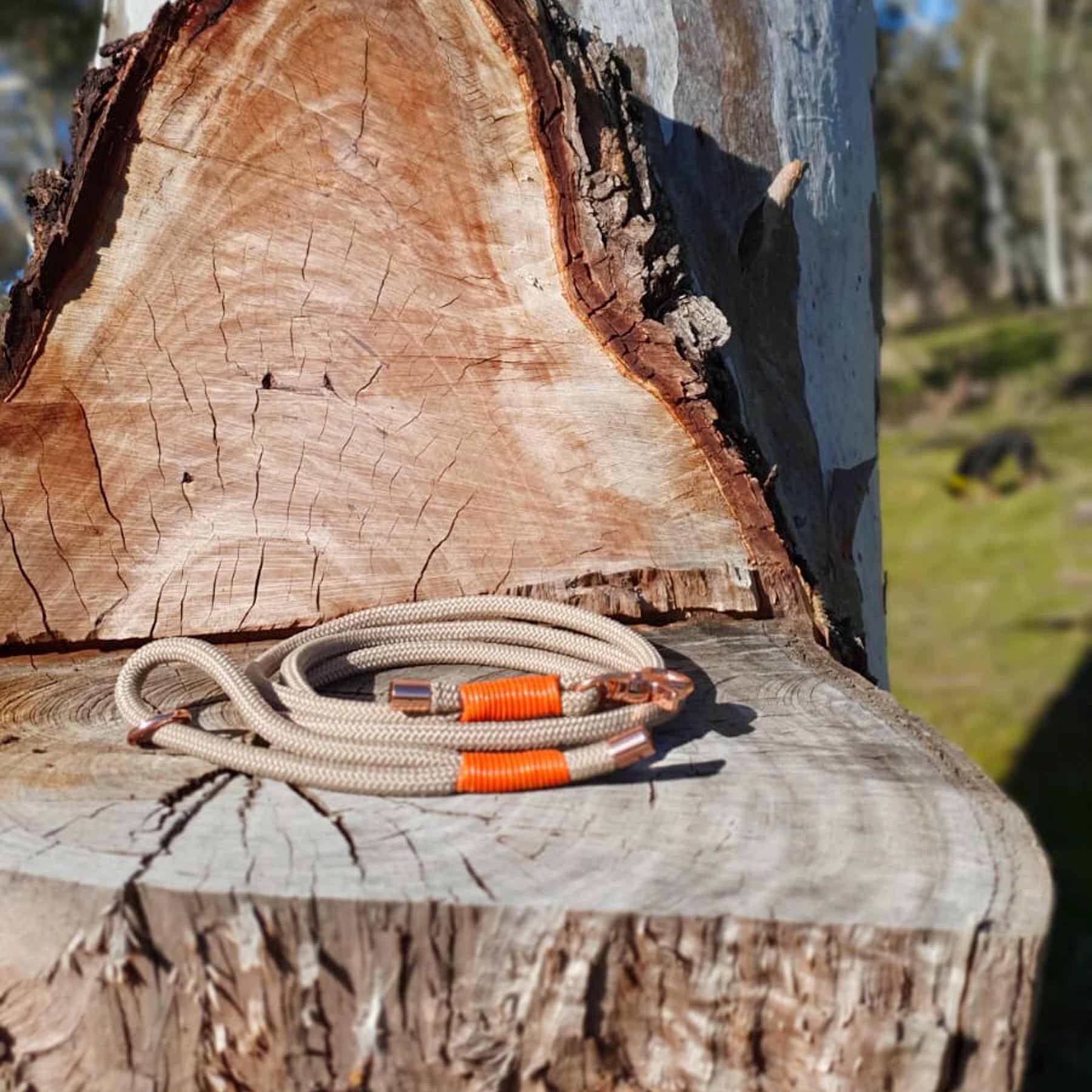 Leads – Dawn2Dusk Australia