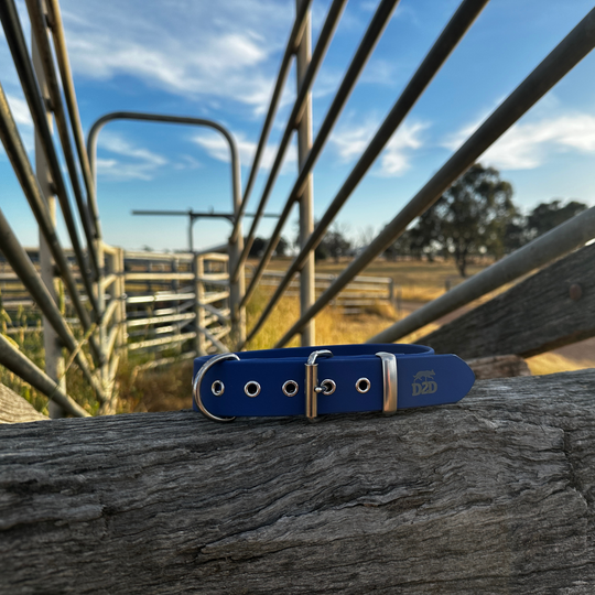 The Riverina Collar 3.0