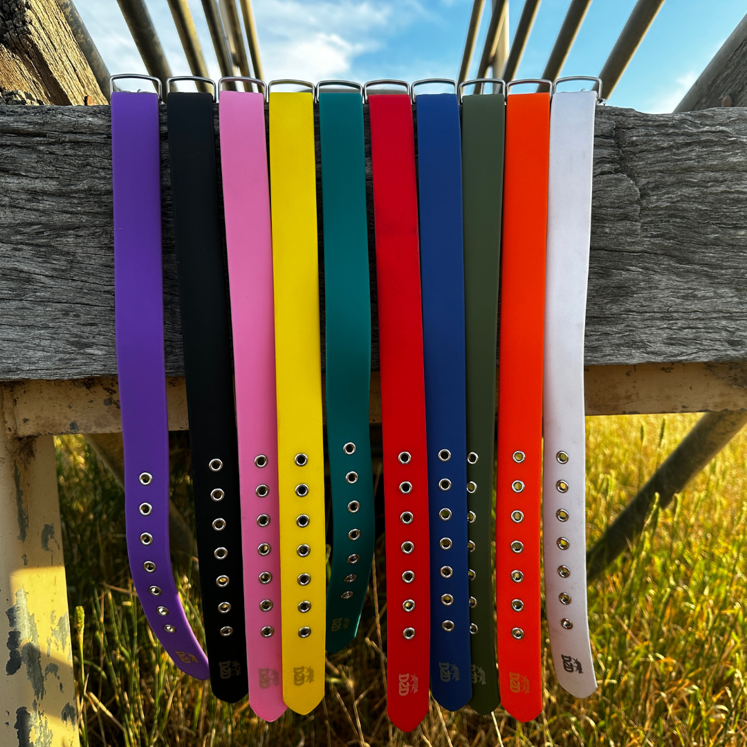 The Riverina Collar 3.0