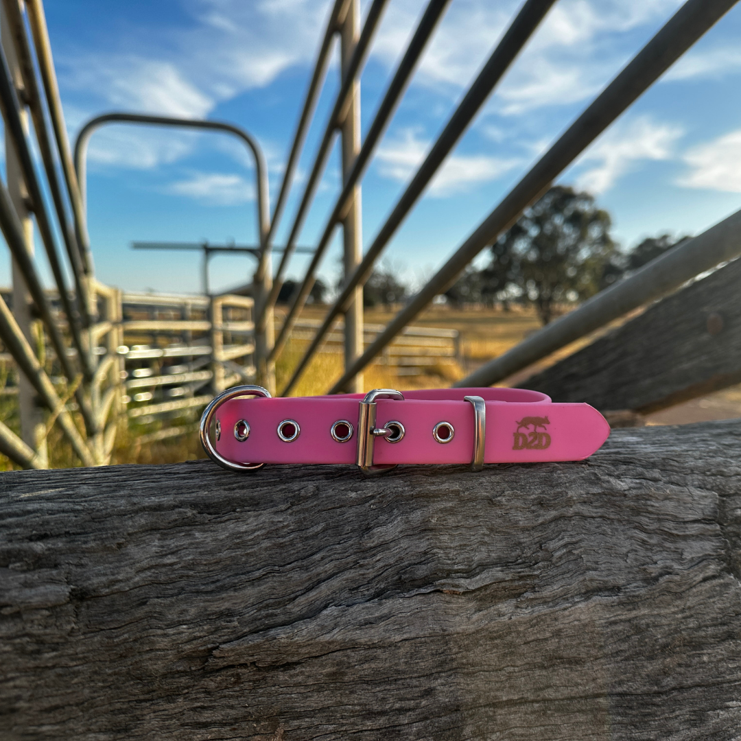 The Riverina Collar 3.0