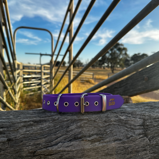 The Riverina Collar 3.0