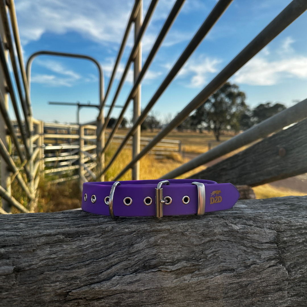 The Riverina Collar 3.0
