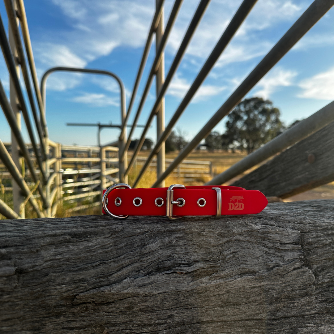 The Riverina Collar 3.0
