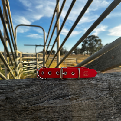 The Riverina Collar 3.0