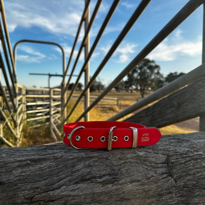 The Riverina Collar 3.0