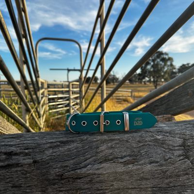 The Riverina Collar 3.0