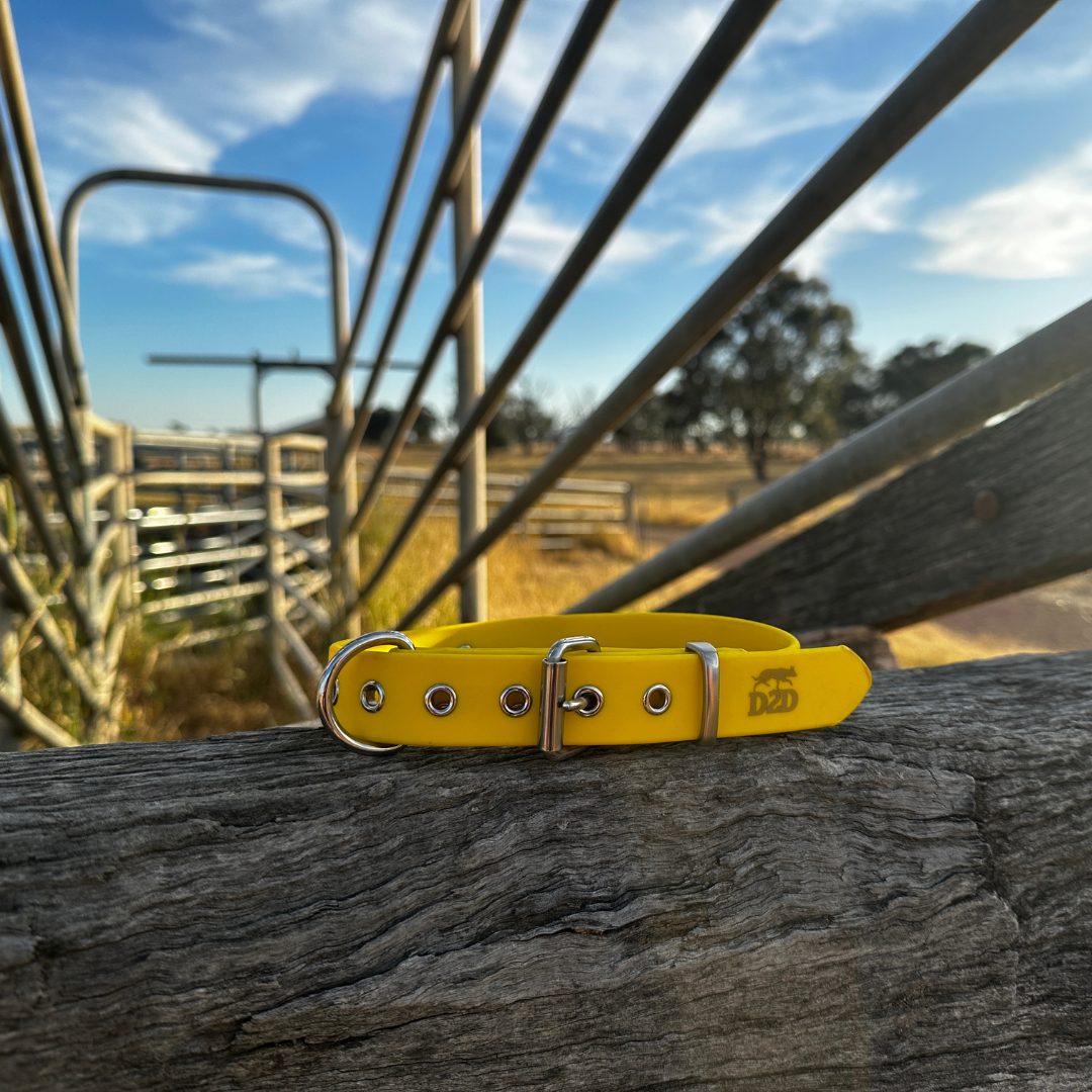The Riverina Collar 3.0