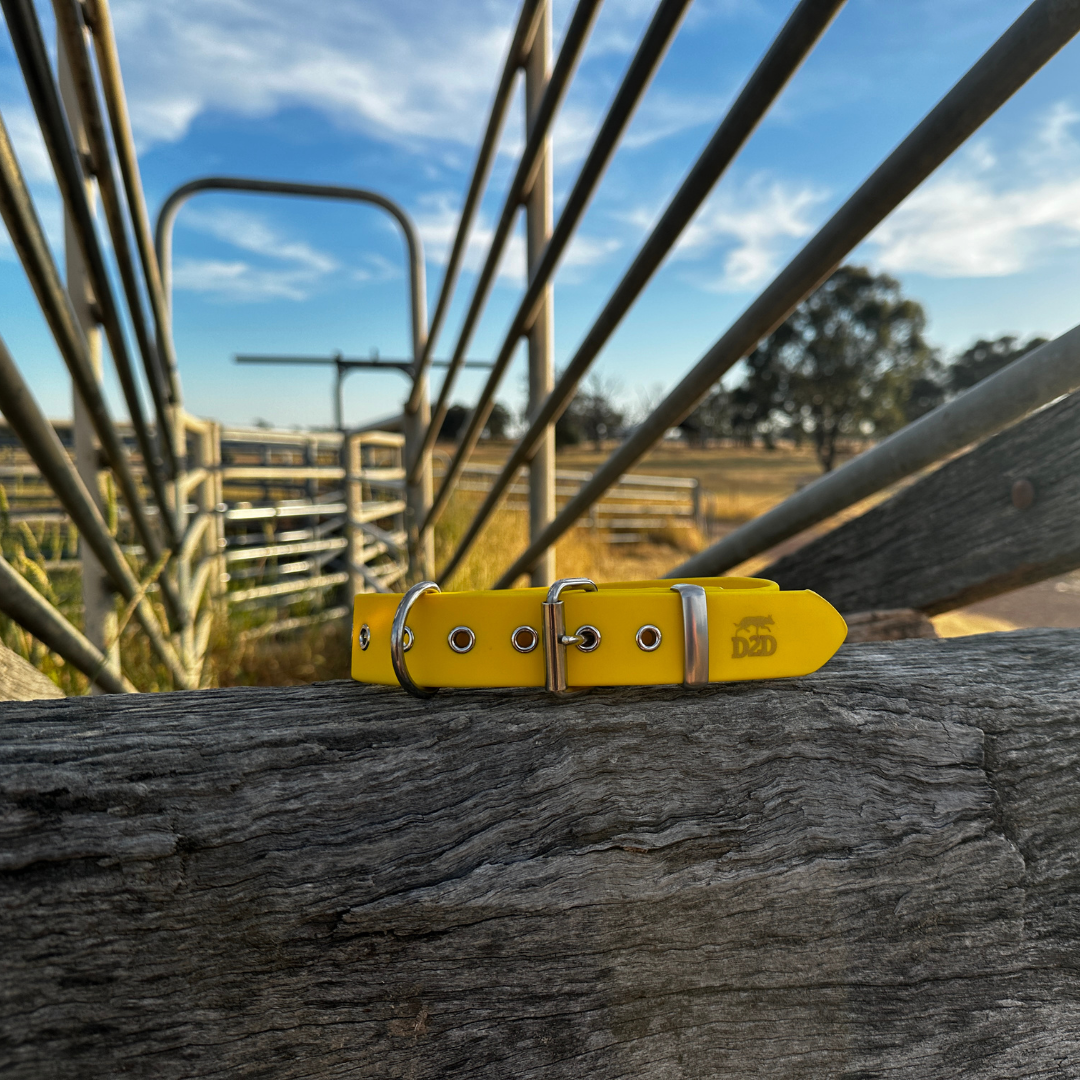 The Riverina Collar 3.0